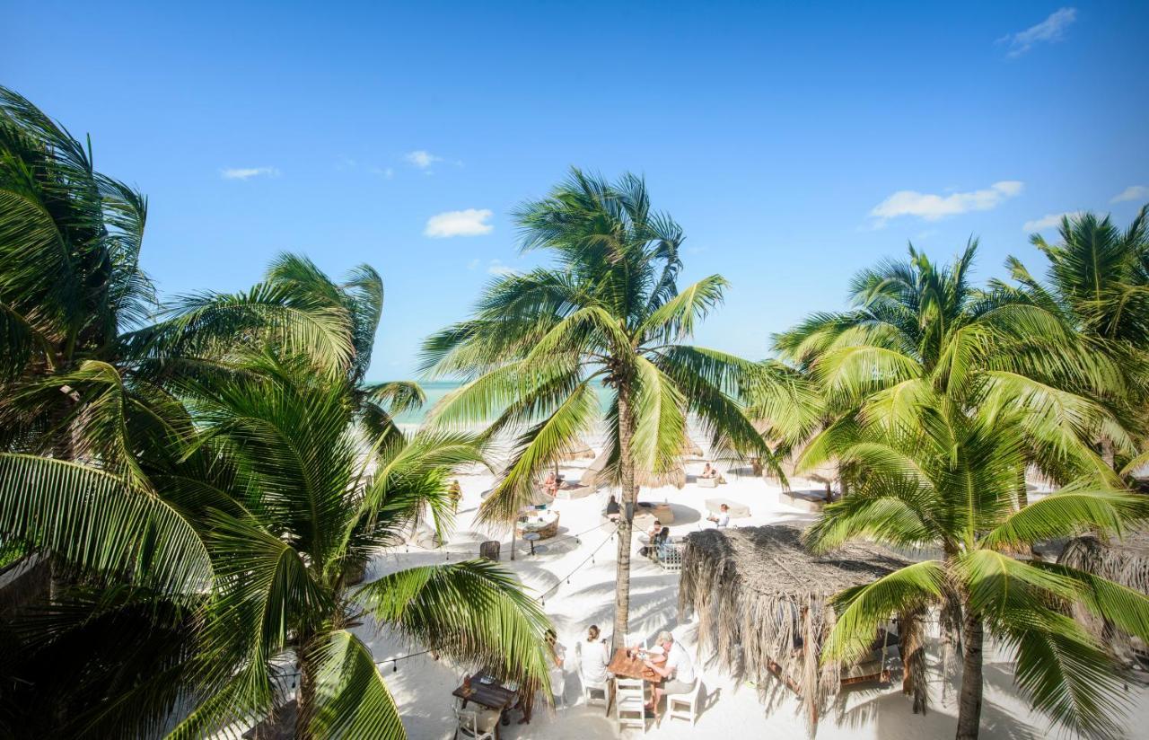 Casa Las Tortugas Petit Beach Hotel & Spa Holbox  Eksteriør bilde