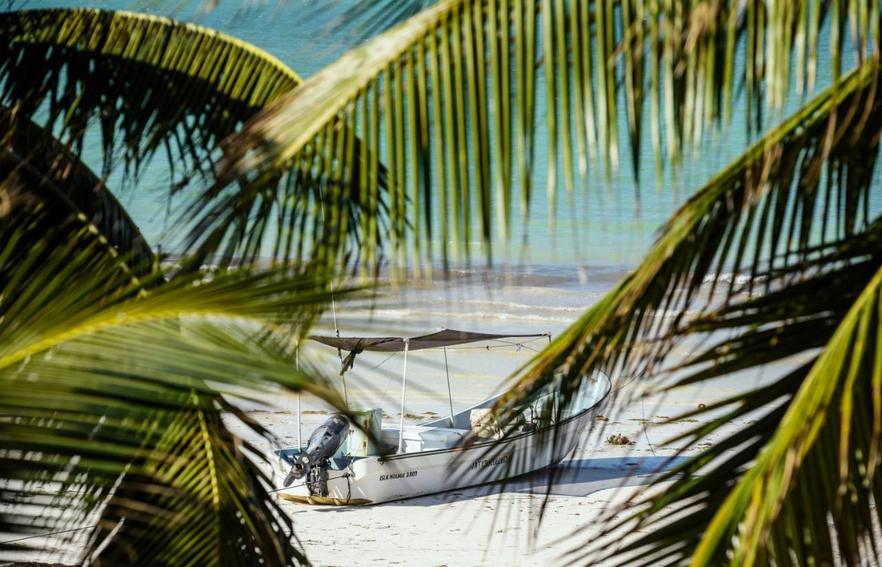 Casa Las Tortugas Petit Beach Hotel & Spa Holbox  Eksteriør bilde